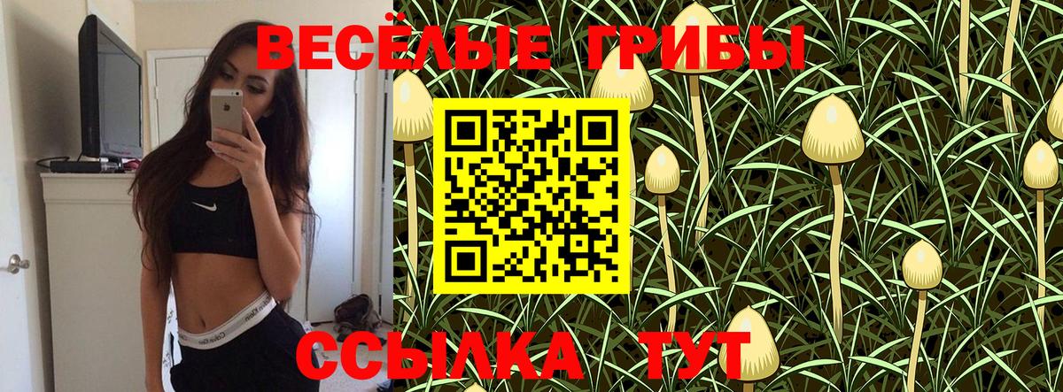 Псилоцибиновые грибы ЛСД Энгельс