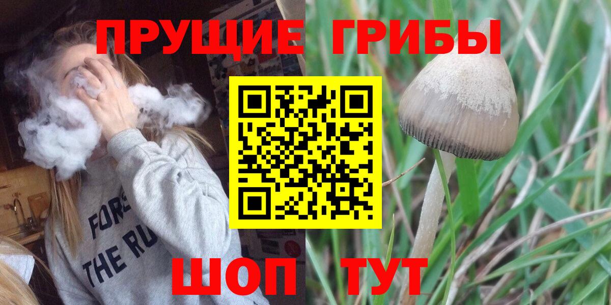 Энгельс  Псилоцибиновые грибы мухоморы  Вход с VPN 