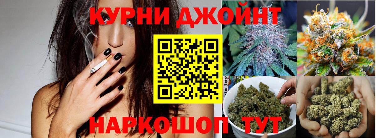 Каннабис гибрид  Вход с VPN  Энгельс  Каннабис ГИДРОПОН 